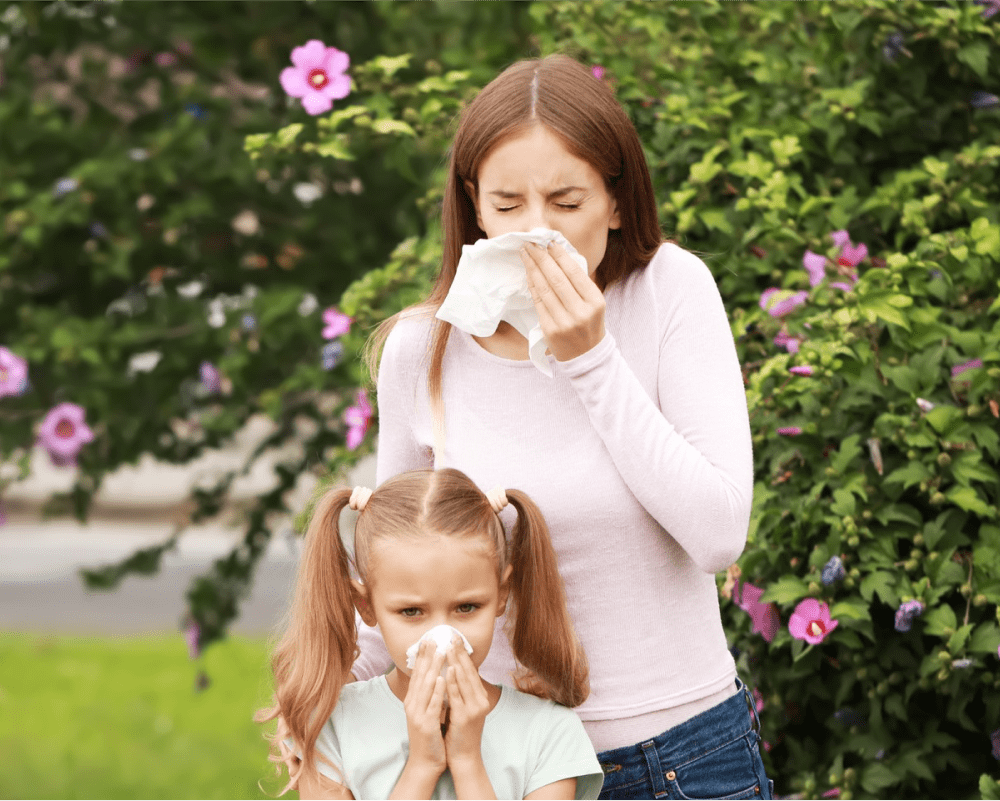 allergic clinic care